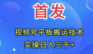 全網(wǎng)首發(fā)：視頻號平板搬運技術(shù)，實操日入三千＋