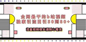 全網(wǎng)最干的b站視頻獨家引流日引50到80+流量視頻很長請耐心看完