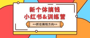 新個(gè)體·搞錢-小紅書訓(xùn)練營：實(shí)戰(zhàn)落地運(yùn)營方法，抓住搞錢方向，每月多搞2w+