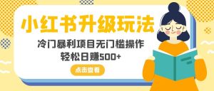 小紅書升級(jí)玩法，冷門暴利項(xiàng)目無門檻操作，輕松日賺500+