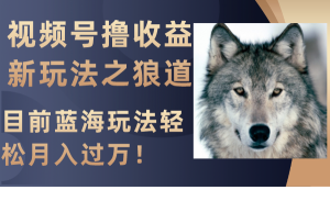 視頻號擼收益新玩法之狼道，目前藍(lán)海玩法輕松月入過萬！