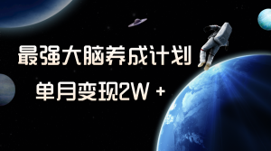 冷門虛擬項目，最強大腦養(yǎng)成計劃，一個月變現(xiàn)2W＋