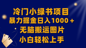 【全網(wǎng)首發(fā)】冷門小綠書暴力掘金日入1000＋，無腦搬運圖片小白輕松上手