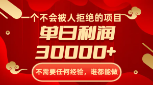 一個不會被人拒絕的項目，不需要任何經(jīng)驗，誰都能做，單日利潤30000+