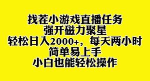 找茬小游戲直播，強(qiáng)開磁力聚星，輕松日入2000+，小白也能輕松上手