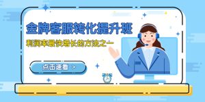 金牌客服-轉(zhuǎn)化提升班，利潤率最快增長的方法之一（9節(jié)課）