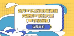 百萬IP實戰(zhàn)訓(xùn)練營課程，完整的IP孵化方法（35節(jié)視頻課）
