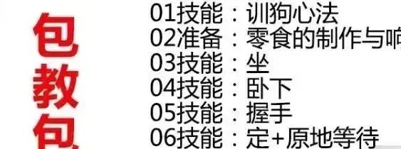 冷門訓狗項目，操作簡單，一單利潤99 9935 作者:福緣資源庫 帖子ID:104938 