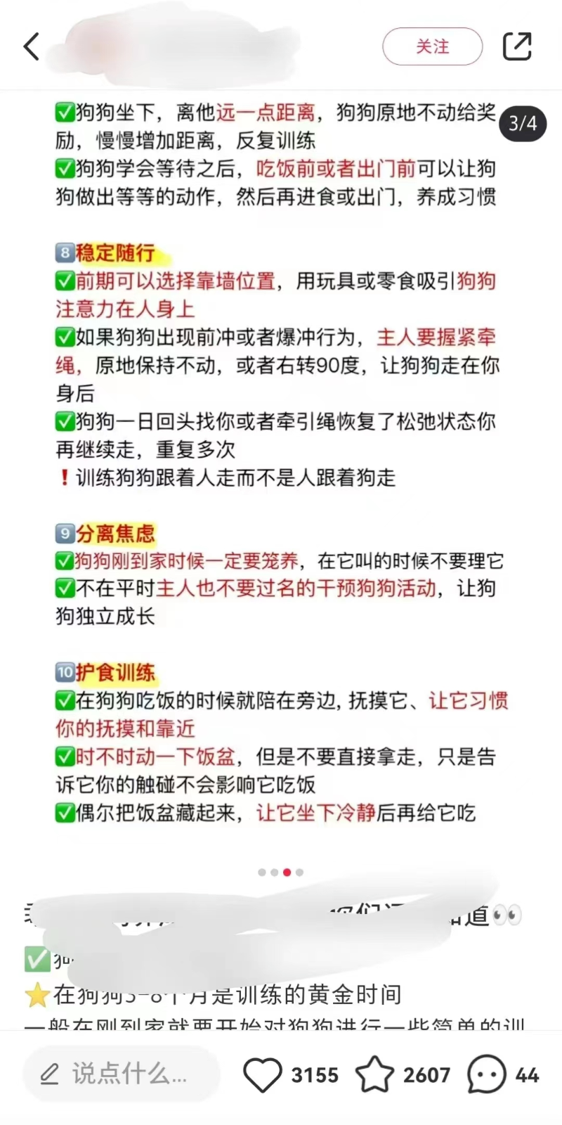 冷門訓狗項目，操作簡單，一單利潤99 4212 作者:福緣資源庫 帖子ID:104938 