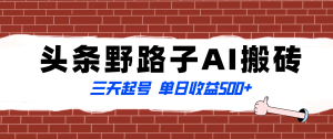 全網(wǎng)首發(fā)頭條野路子AI搬磚玩法，紀(jì)實(shí)類超級藍(lán)海項(xiàng)目，三天起號單日收益500+