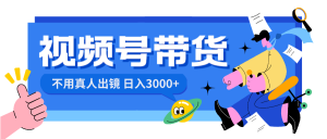 視頻號帶貨，日入3000+，不用真人出鏡