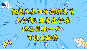 健康養(yǎng)生細(xì)分領(lǐng)域賽道，賣音藥U盤養(yǎng)生音樂(lè)，輕松月賺一萬(wàn)+，可批量操作
