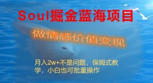 Soul掘金藍海項目細分賽道，做情感價值變現(xiàn)，月入2w+不是問題