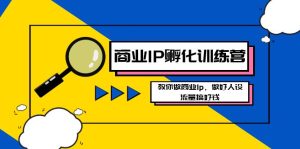 商業(yè)IP-孵化訓(xùn)練營新版，教你做商業(yè)Ip，做好人設(shè)，流量搞好錢