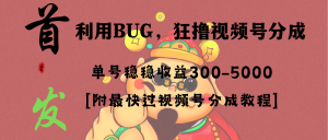 全網(wǎng)獨(dú)家首發(fā)，視頻號(hào)BUG，超短期項(xiàng)目，單號(hào)每日凈收益300-5000！