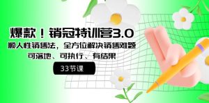爆款！銷冠特訓(xùn)營(yíng)3.0之順人性銷售法，全方位解決銷售難題、可落地、可執(zhí)…