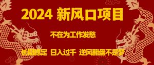 2024新風(fēng)口項目，不在為工作發(fā)愁，長期穩(wěn)定，日入過千逆風(fēng)翻盤不是夢