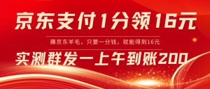 京東支付1分得16元實操到賬200