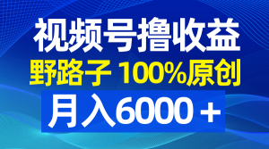 視頻號野路子擼收益，100%原創(chuàng)，條條爆款，月入6000＋