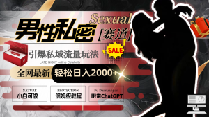 全網(wǎng)最新男性私密賽道玩法，引爆私域流量，輕松日入2000+