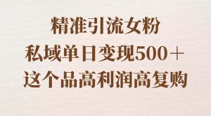 精準(zhǔn)引流女粉，私域單日變現(xiàn)500＋，高利潤(rùn)高復(fù)購(gòu)，保姆級(jí)實(shí)操教程分享