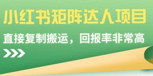 小紅書矩陣達人項目，直接復制搬運，回報率非常高