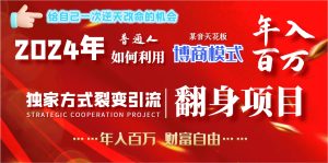 2024年普通人如何利用博商模式做翻身項目年入百萬，財富自由