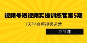 視頻號短視頻實操訓練營第5期：7天學會短視頻運營（12節(jié)課）