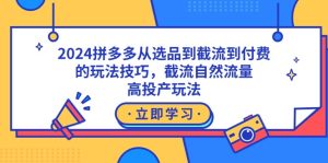 2024拼多多從選品到截流到付費(fèi)的玩法技巧，截流自然流量玩法，高投產(chǎn)玩法