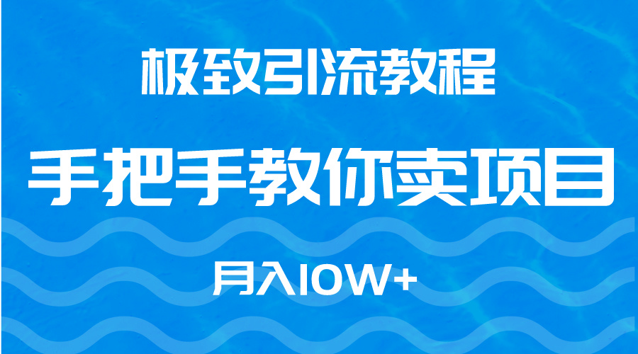 極致引流教程，手把手教你賣項目，月入10W+