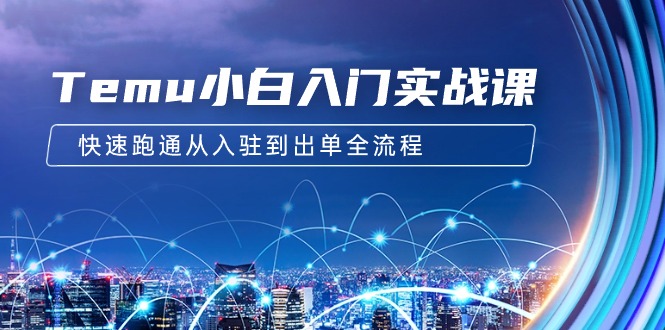 Temu小白入門(mén)實(shí)戰(zhàn)課：跨境拼多多電商培訓(xùn) 快速跑通從入駐到出單全流程-12節(jié)
