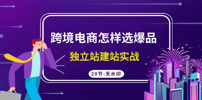跨境電商怎樣選爆品，獨立站建站實戰(zhàn)（20節(jié)高清無水印課）