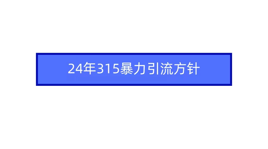 2024年315暴力引流方針
