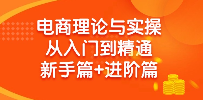 電商理論與實(shí)操從入門到精通：抖店+淘系+多多，新手篇+進(jìn)階篇