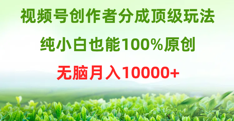 視頻號(hào)創(chuàng)作者分成頂級(jí)玩法，純小白也能100%原創(chuàng)，無(wú)腦月入10000+