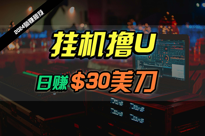 日賺30美刀，2024最新海外掛機擼U內部項目，全程無人值守，可批量放大