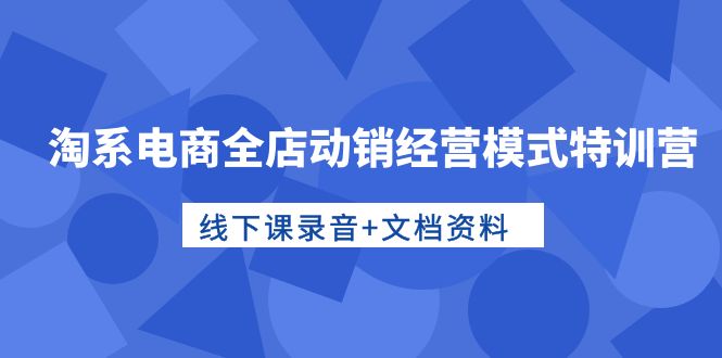 淘系電商全店動(dòng)銷(xiāo)經(jīng)營(yíng)模式特訓(xùn)營(yíng)，線(xiàn)下課錄音+文檔資料