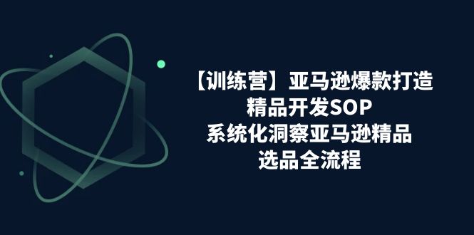 【訓(xùn)練營】亞馬遜爆款打造之精品開發(fā)SOP，系統(tǒng)化洞察亞馬遜精品選品全流程