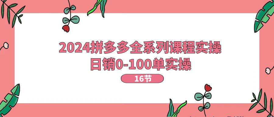 2024拼多多全系列課程實操，日銷0-100單實操【16節(jié)課】