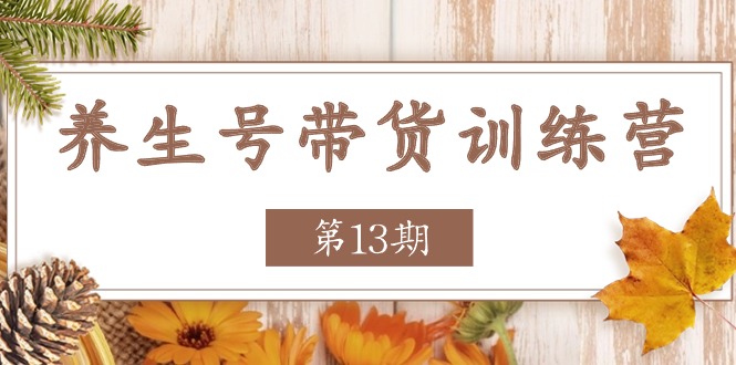 養(yǎng)生號(hào)-帶貨訓(xùn)練營(yíng)【第13期】收益更穩(wěn)定的玩法，讓你帶貨收益爆炸