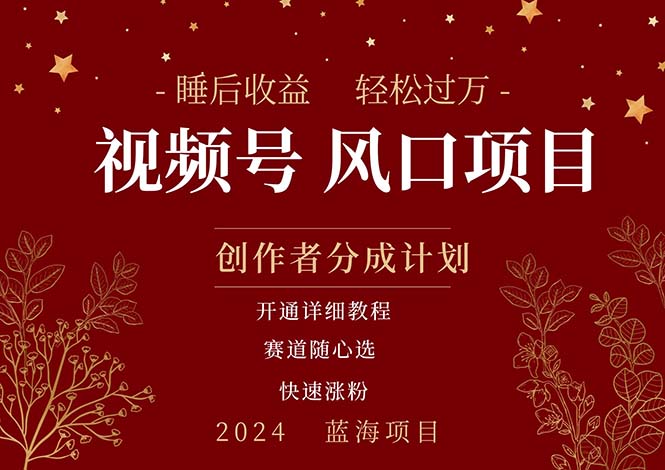 擁有睡眠收益的微信視頻號大風(fēng)口項(xiàng)目，輕松月入過萬+，多賽道選擇，可…