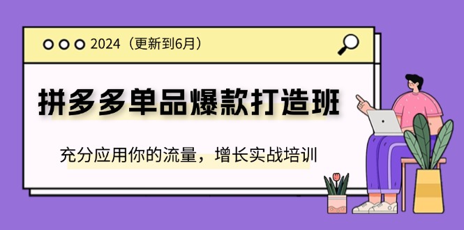 2024拼多多-單品爆款打造班(更新6月)，充分應(yīng)用你的流量，增長實戰(zhàn)培訓(xùn)