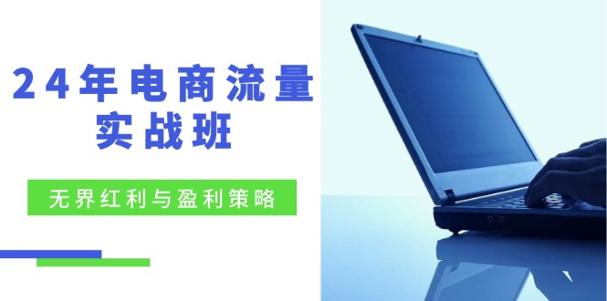 24年電商流量實戰(zhàn)班：無界 紅利與盈利策略，終極提升/關鍵詞優(yōu)化/精準…