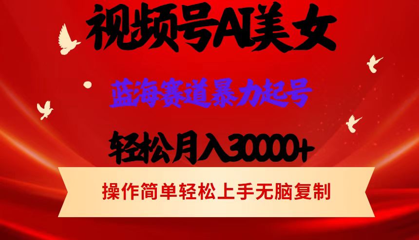 視頻號(hào)AI美女跳舞，輕松月入30000+，藍(lán)海賽道，流量池巨大，起號(hào)猛，當(dāng)…