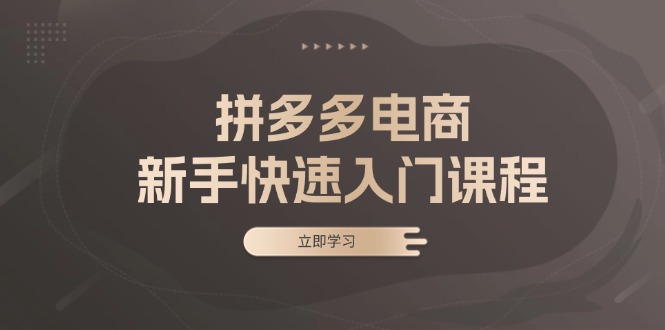 拼多多電商新手快速入門(mén)課程：涵蓋基礎(chǔ)、實(shí)戰(zhàn)與選款，助力小白輕松上手