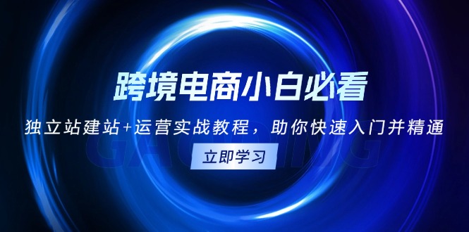 跨境電商小白必看！獨立站建站+運(yùn)營實戰(zhàn)教程，助你快速入門并精通