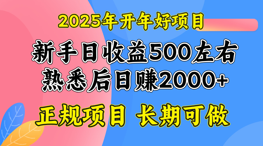 2025開年好項目，單號日收益2000左右