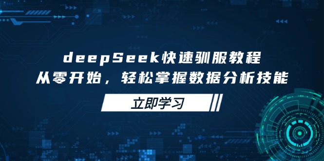 deepSeek快速馴服教程，從零開始，輕松掌握數(shù)據(jù)分析技能