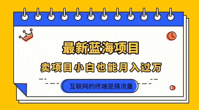 2025年最新藍(lán)海項(xiàng)目，賣項(xiàng)目小白也能月入過萬