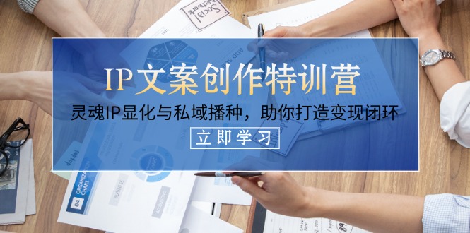IP文案創(chuàng)作特訓(xùn)營(yíng)，靈魂IP顯化與私域播種，助你打造變現(xiàn)閉環(huán)（14節(jié)課）